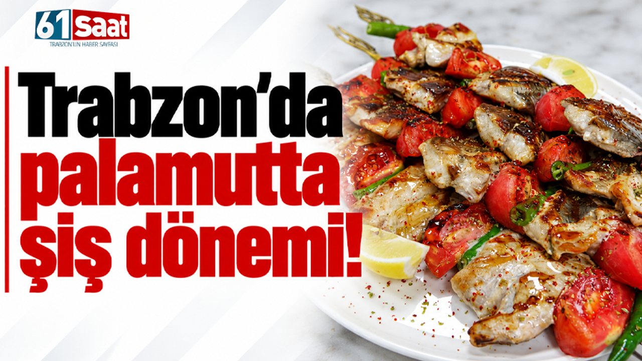 Trabzon'da palamutta şiş dönemi!