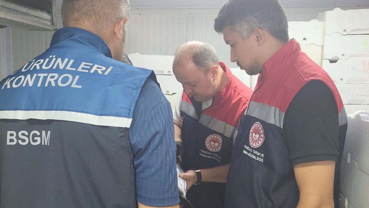 Balık satış yerlerinde hijyen ve tazelik denetimi yapıldı
