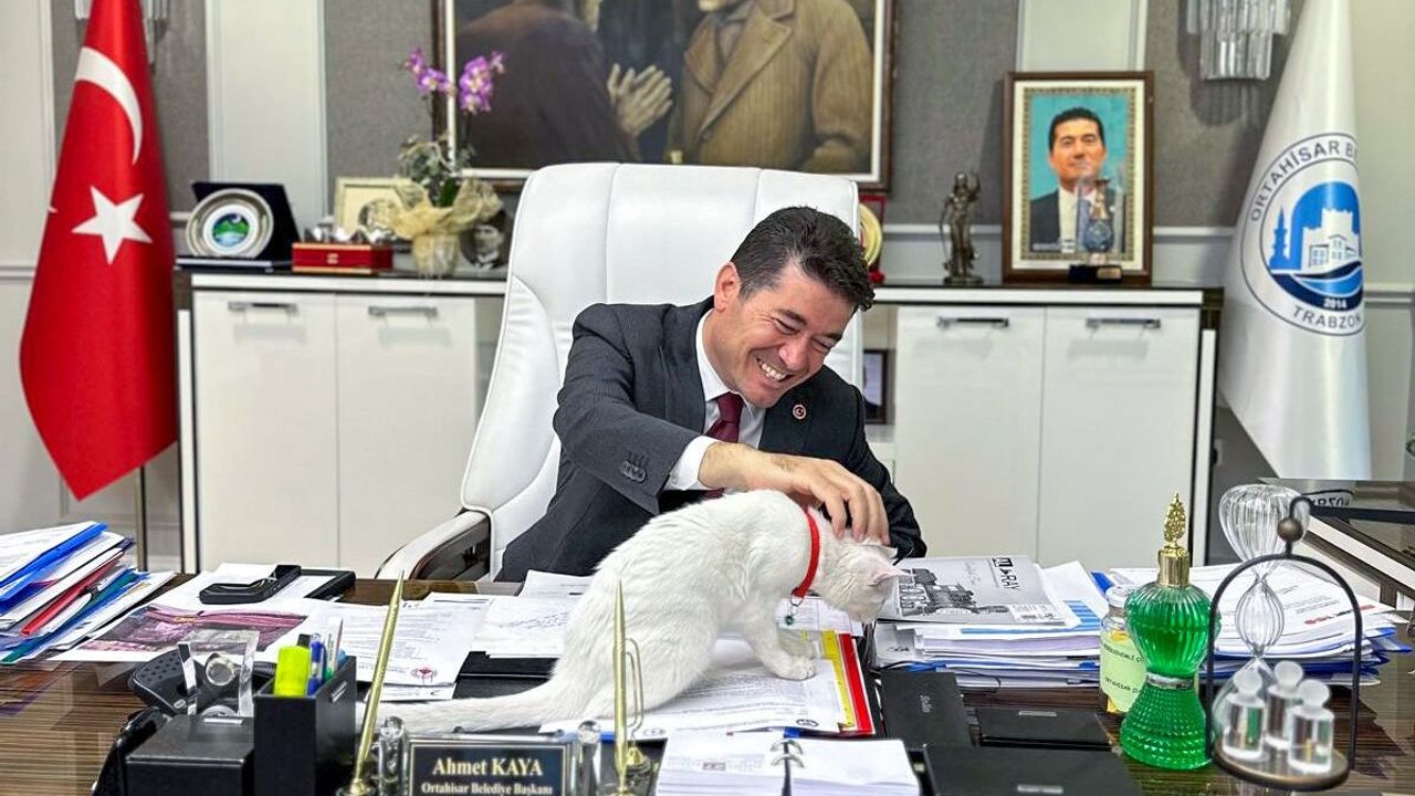 Ortahisar’da patili dostları sahiplenmek artık çok daha kolay