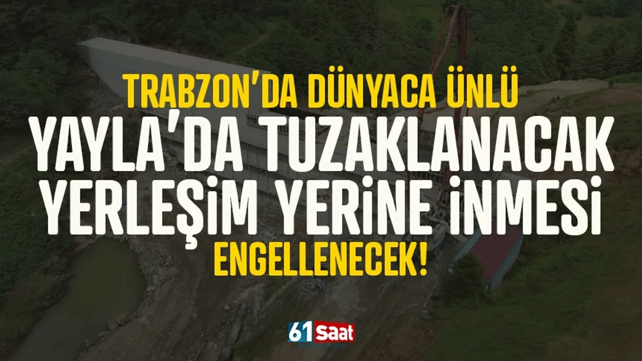 Trabzon'da dünyaca ünlü yaylada tuzaklanacak, merkeze inmesi engellenecek!