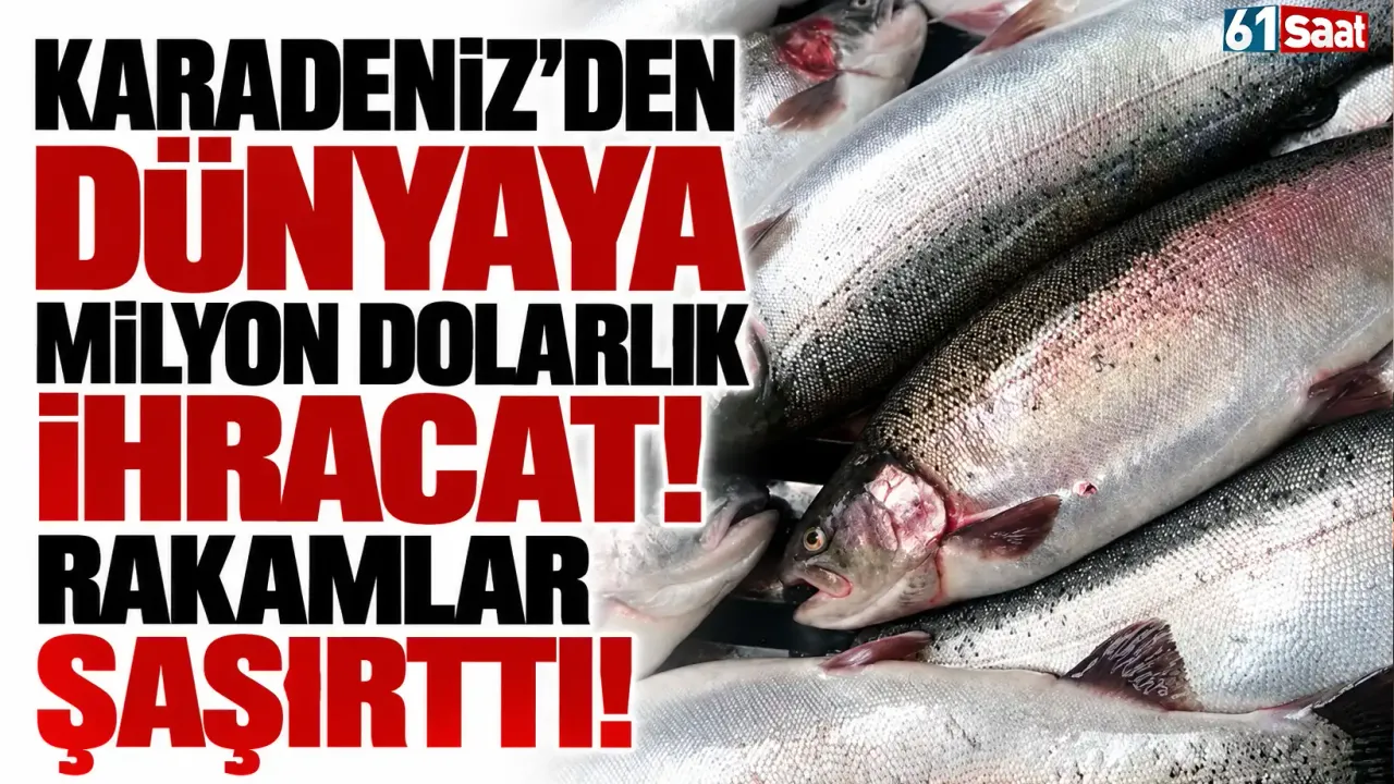 Karadeniz'den dünyaya milyon dolarlık ihracat! Rakamlar şaşırttı