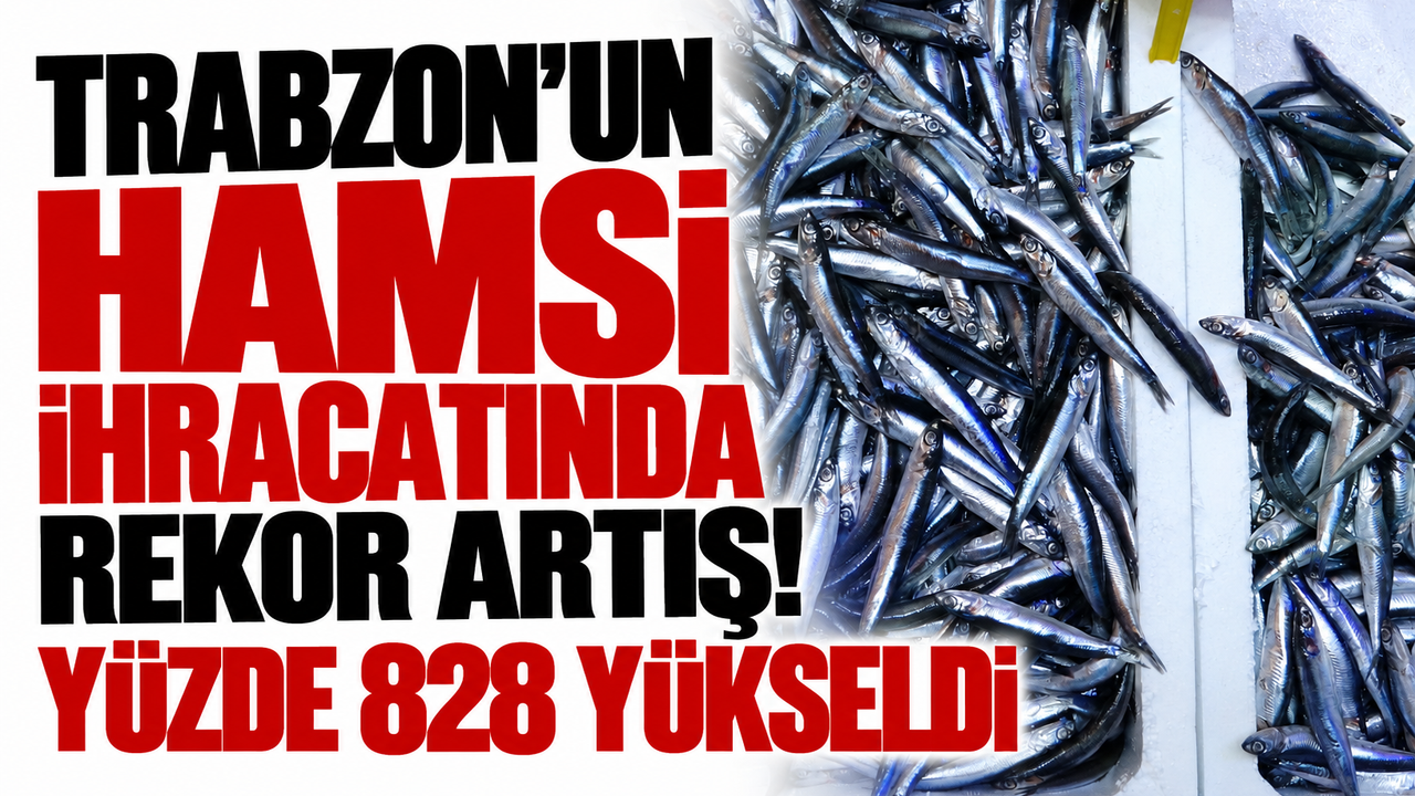 Trabzon’un hamsi ihracatında rekor artış! Yüzde 828 yükseldi