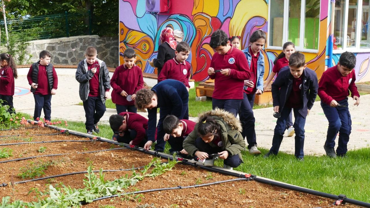 Trabzon'da Çilekli Düşker Köyü minik misafirlerini ağırlamaya devam ediyor
