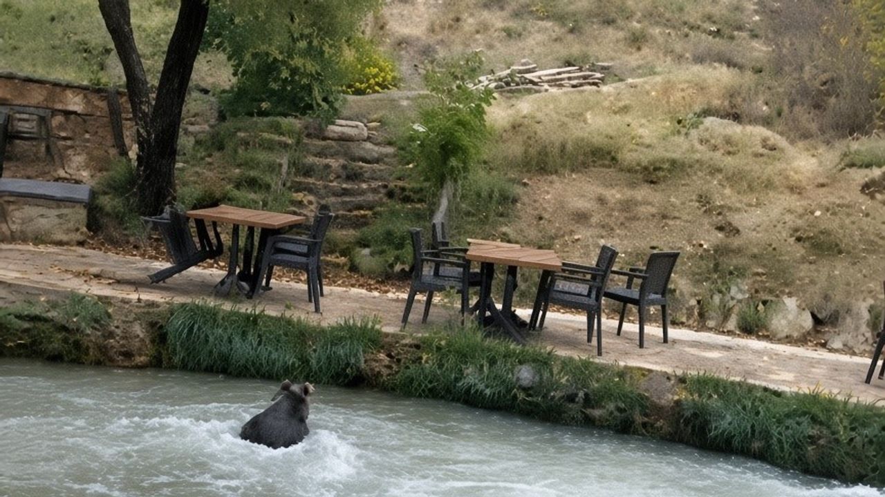 Restorana giren davetsiz misafir, insanları görünce suya atladı!