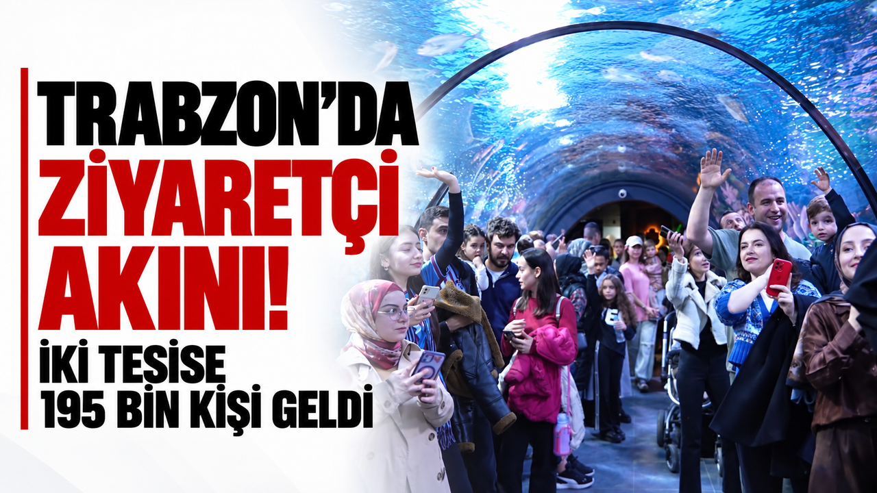 Akvaryum Ve Kuş Parkı İlgi Odağı Oldu: 195 Bin Kişi Ziyaret Etti