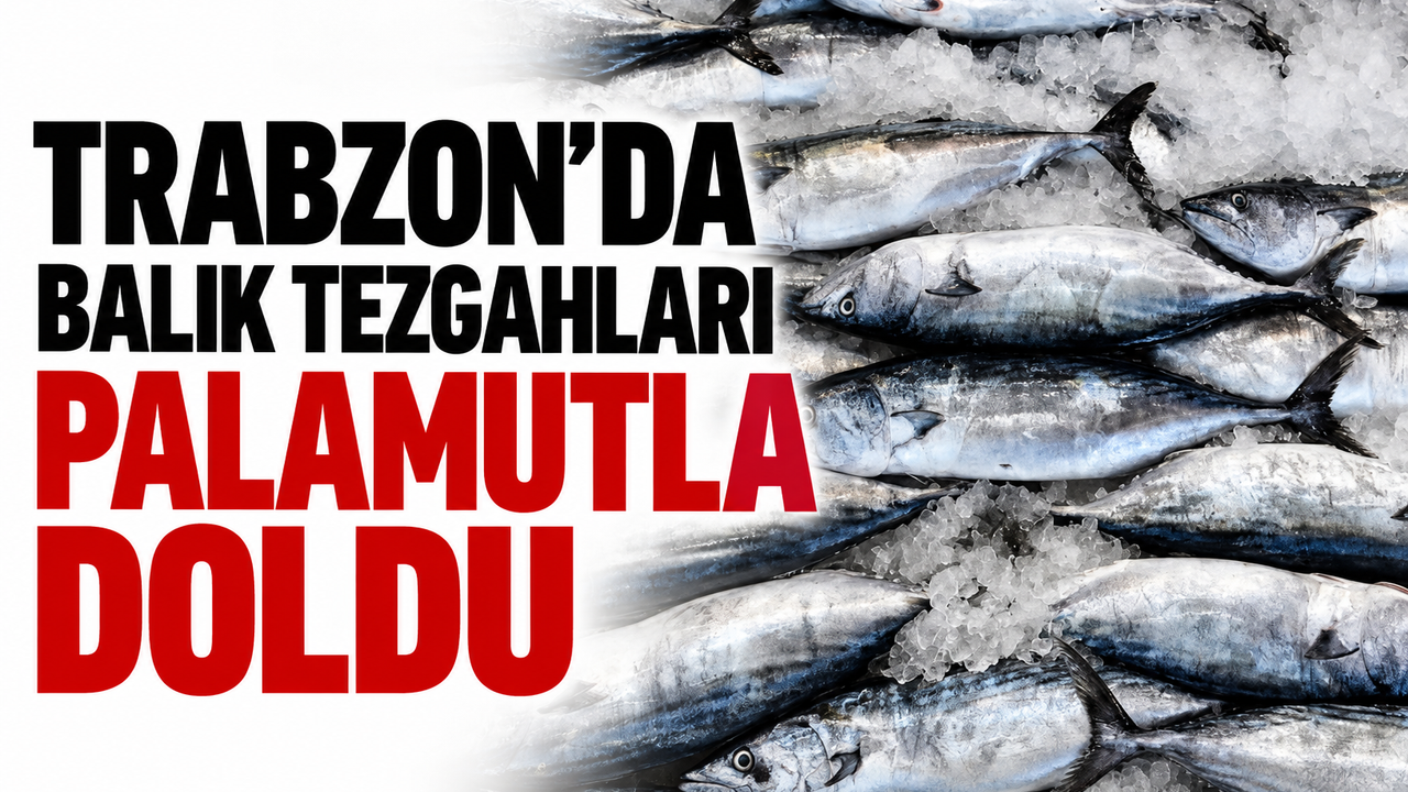 Trabzon'da balık tezgahları palamutla doldu