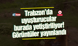 Trabzon’da uyuşturucular burada yetiştiriliyor! Görüntüler yayınlandı