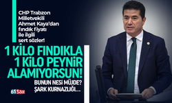 CHP Trabzon Milletvekili Ahmet Kaya, 2022 fındık fiyatı ile ilgili sert sözler!