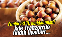 Fındık 53 TL açıklanmıştı! İşte Trabzon'da fındık fiyatları...