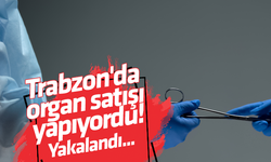 Trabzon'da organ satışı yapıyordu! Yakalandı...
