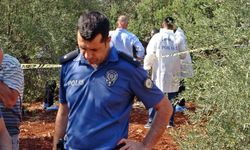 Antalya’da zeytinlik alanda 23 yaşındaki gencin cesedi bulundu