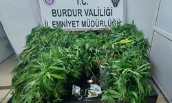Burdur’da seraya uyuşturucu operasyonu: 1 tutuklama