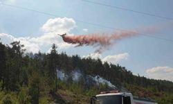 Bursa’da orman yangını için müthiş seferberlik...Yangın kontrol altında