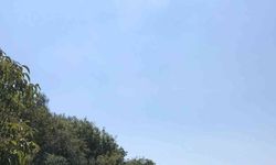 Çanakkale’de kamyon şarampole uçtu: 2 yaralı