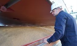 İSTANBUL - Ukrayna'dan yola çıkan mısır yüklü "Navi-Star" gemisindeki denetleme tamamlandı