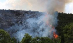 Kocaeli’de ormanlık alanda çıkan yangına müdahale sürüyor