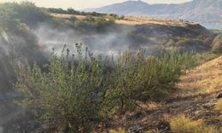 Malatya’da anız yangınında kayısı ağaçları zarar gördü