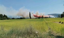 Muğla’da tarım arazinde yangın çıktı