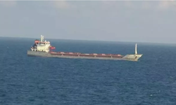 Tahıl yüklü Türk bandıralı gemi denetim bekliyor