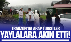 Trabzon'da Arap turistler yaylalara akın etti