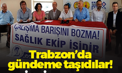 SES Trabzon Şubesi Yönetim Kurulu ''Çalışma barışını bozma’’