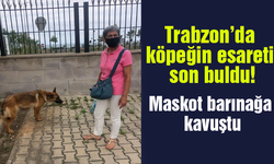 Trabzon’da ilginç esaret son buldu! Maskot barınağa kavuştu