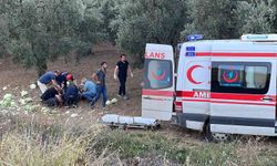 Bursa’da otomobil ile kamyon çarpıştı: 6 yaralı