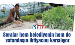 Seralar hem belediyenin hem de vatandaşın ihtiyacını karşılıyor