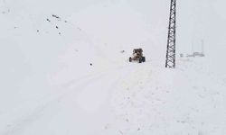 Hakkari’de kapanan 10 yerleşim yolunda karla mücadele çalışması
