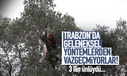 Trabzon'da zeytinleri geleneksel yöntemlerle işleniyor!