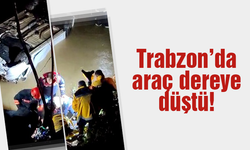 Trabzon'da dereye düşen otomobilin sürücüsü yaralandı