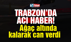 Trabzon'da acı haber! Ağaç altında kalarak can verdi