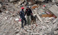 Malatya’da arama kurtarma köpekleri devrede
