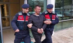 Samsun’da bağ evlerinden hırsızlık yapan şahıs tutuklandı