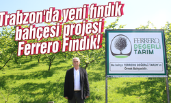 Trabzon'da yeni fındık bahçesi projesi Ferrero Fındık!