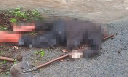 19 Mayıs’ta büz açmaya giden şahıs ölü bulundu