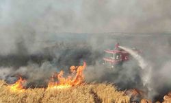 Gaziantep’te 7 bin dönüm buğday tarlası yandı