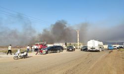 Gaziantep’te tarla yangını Doğalgaz Dağıtım Merkezi’ni tehdit ediyor