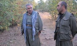 MİT'ten örgüte operasyon