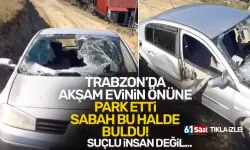 Trabzon’da ayı arabayı resmen hurdaya çevirdi…