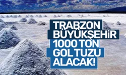 Trabzon Büyükşehir 1000 ton tuz alacak!