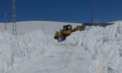 Kars’ta kar geçit vermiyor. 29 köy yolu ulaşıma kapandı