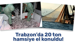 Trabzon’da 20 ton hamsiye el konuldu!