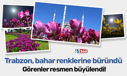 Trabzon bahar renklerine büründü