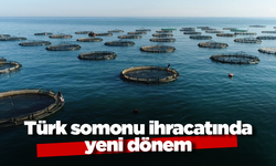 Türk somonu ihracatında yeni hedef