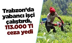 Trabzon’da yabancı işçi çalıştırdı, 113.000 Tl ceza yedi