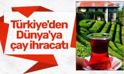 Türkiye'den Dünya'ya çay ihracatı