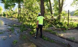 Malatya’da 15 dakikalık fırtına ağaçları devirdi