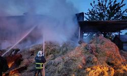 Yalova Altınova’da samanlık yangını