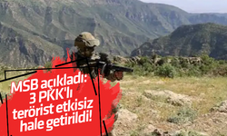 3 PKK'lı terörist etkisiz hale getirildi!